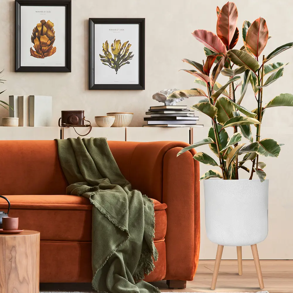 Фото 7 Кашпо Флоу на ножках Idealist lite 30 см 63 см 31 л искусственный камень белый на ножках Фото 7 Кашпо Флоу на ножках Idealist lite 30 см 63 см 31 л искусственный камень белый на ножках