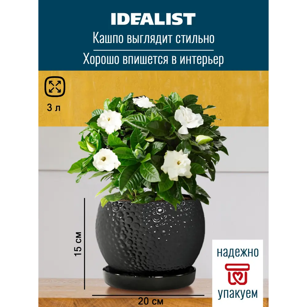Фото Кашпо Мун керамик Idealist lite 20 см 15 см 3 л керамика черный Фото Кашпо Мун керамик Idealist lite 20 см 15 см 3 л керамика черный