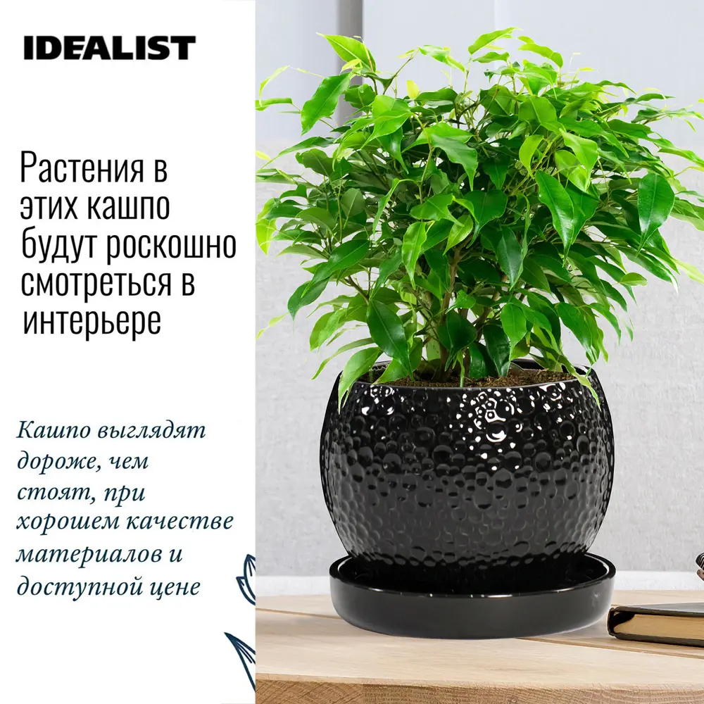 Фото 3 Кашпо Мун керамик Idealist lite 20 см 15 см 3 л керамика черный Фото 3 Кашпо Мун керамик Idealist lite 20 см 15 см 3 л керамика черный