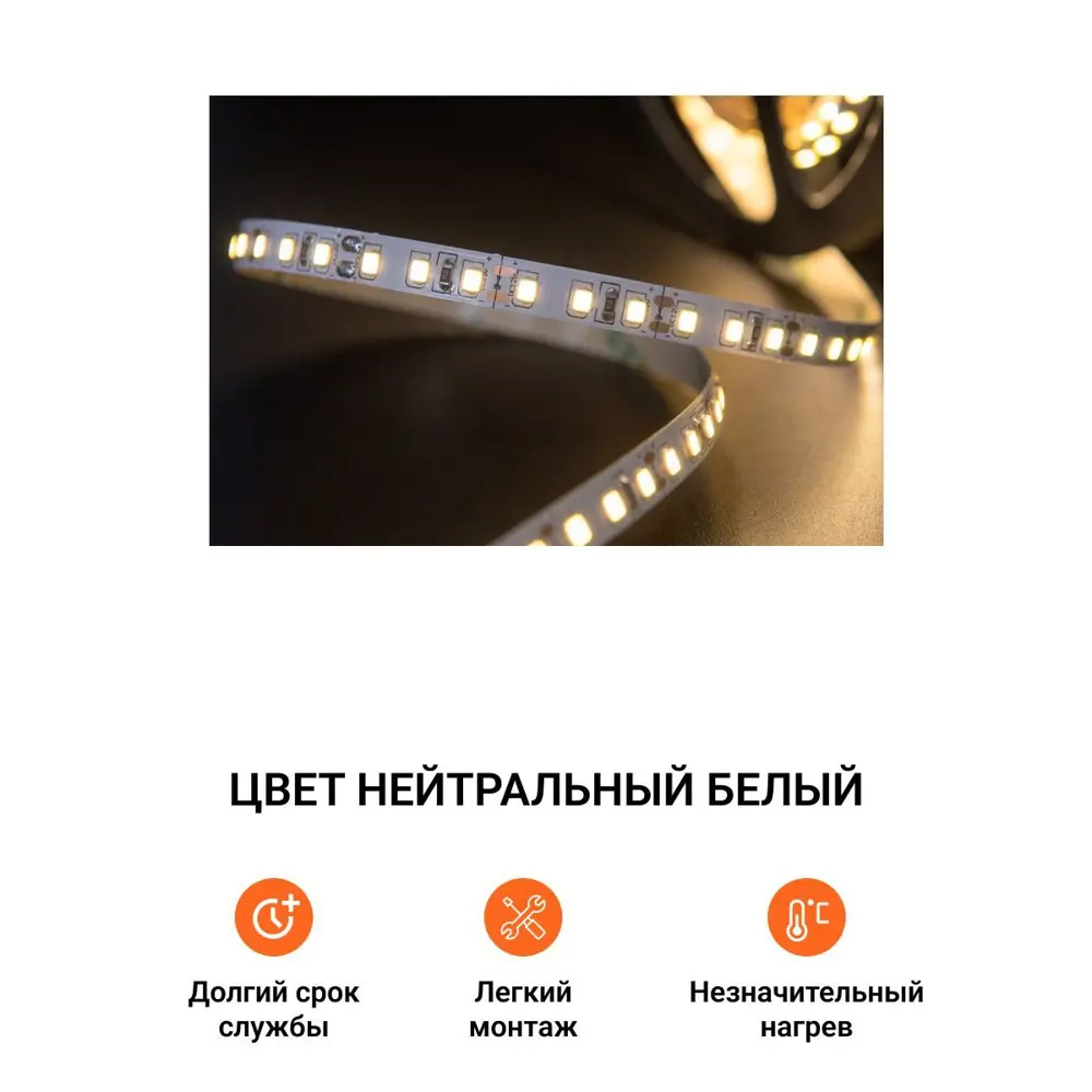 Фото 2 Светодиодная лента ИНТАЛИКА MP00380 120 диод/12 Вт/м 12 В IP20 5 м нейтральный белый свет Фото 2 Светодиодная лента ИНТАЛИКА MP00380 120 диод/12 Вт/м 12 В IP20 5 м нейтральный белый свет