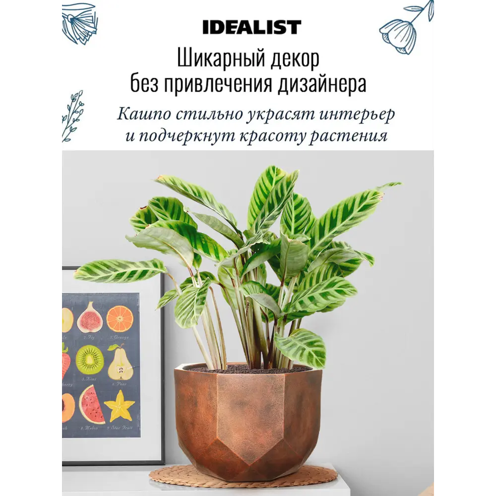 Фото 2 Настольное кашпо для цветов Idealist Lite Геометри бронзовое 37x27 см 29 л Фото 2 Настольное кашпо для цветов Idealist Lite Геометри бронзовое 37x27 см 29 л