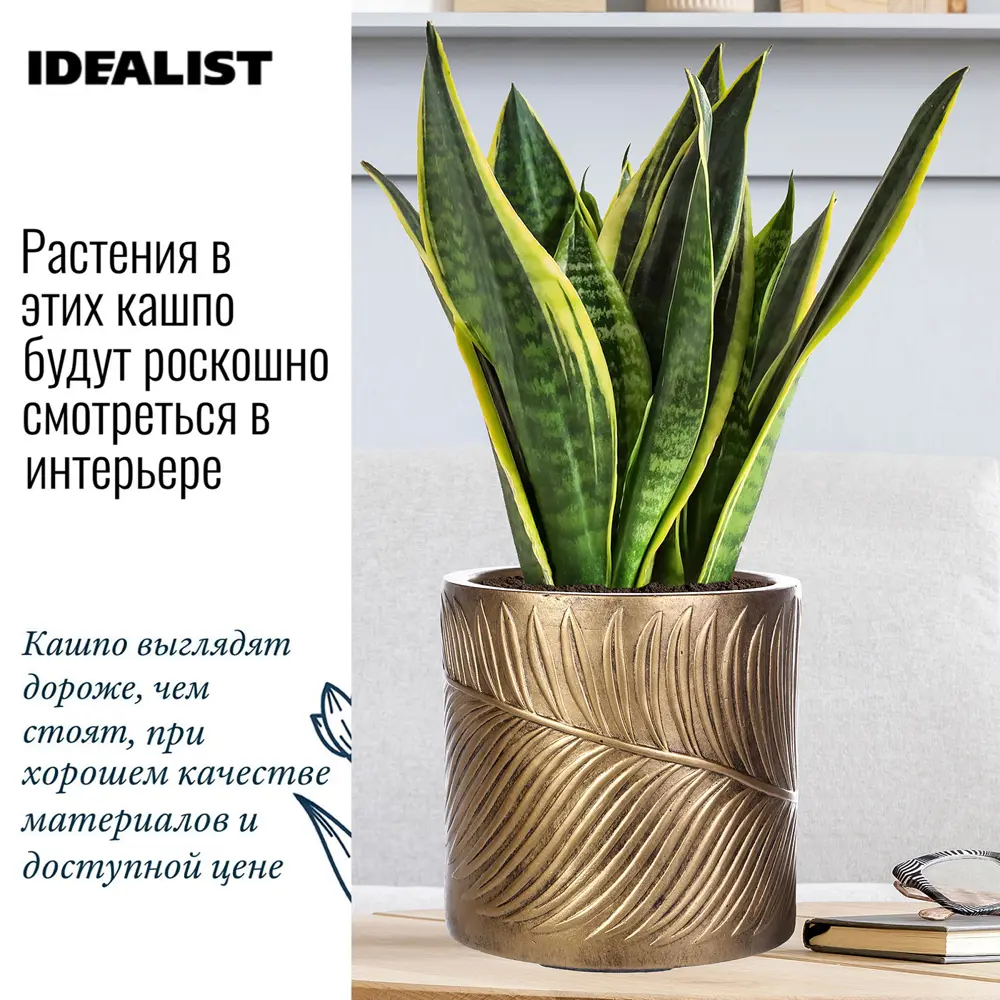 Фото 4 Настольное кашпо для цветов Idealist Lite Лист золотое 24x24 см 10.9 л Фото 4 Настольное кашпо для цветов Idealist Lite Лист золотое 24x24 см 10.9 л