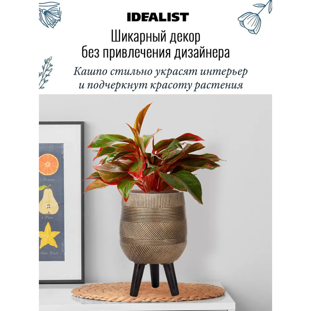 Фото 2 Напольное кашпо для цветов Idealist Lite Страйп на ножках золотое 20.5x32 см 5.4 л Фото 2 Напольное кашпо для цветов Idealist Lite Страйп на ножках золотое 20.5x32 см 5.4 л