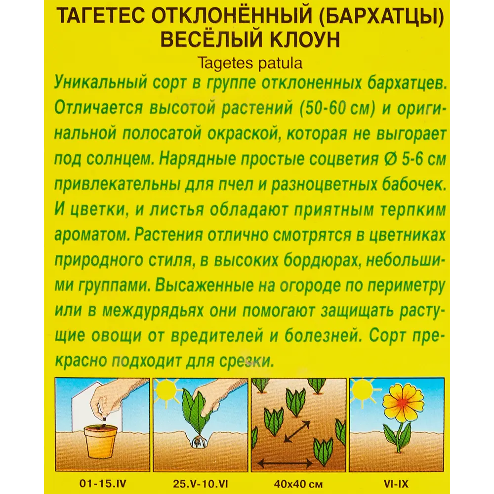 Фото 3 Бархатцы Веселый клоун h23 см Фото 3 Бархатцы Веселый клоун h23 см