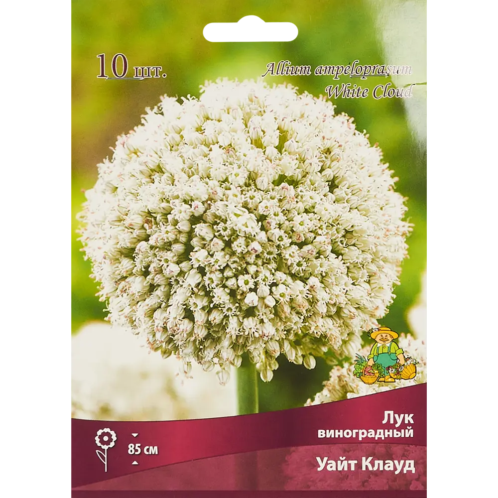 Фото Лук виноградный Уайт Клауд 0.03 кг Фото Лук виноградный Уайт Клауд 0.03 кг