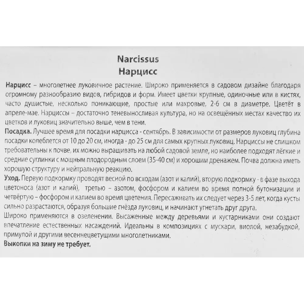Фото 3 Нарцисс трубчатый Гоблет луковица 10/12, 3 шт. Фото 3 Нарцисс трубчатый Гоблет луковица 10/12, 3 шт.