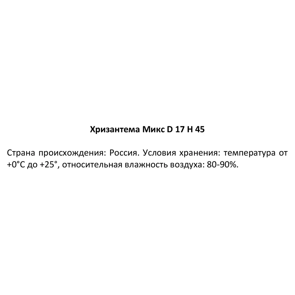 Фото 5 Хризантема микс ø17 h45 см Фото 5 Хризантема микс ø17 h45 см