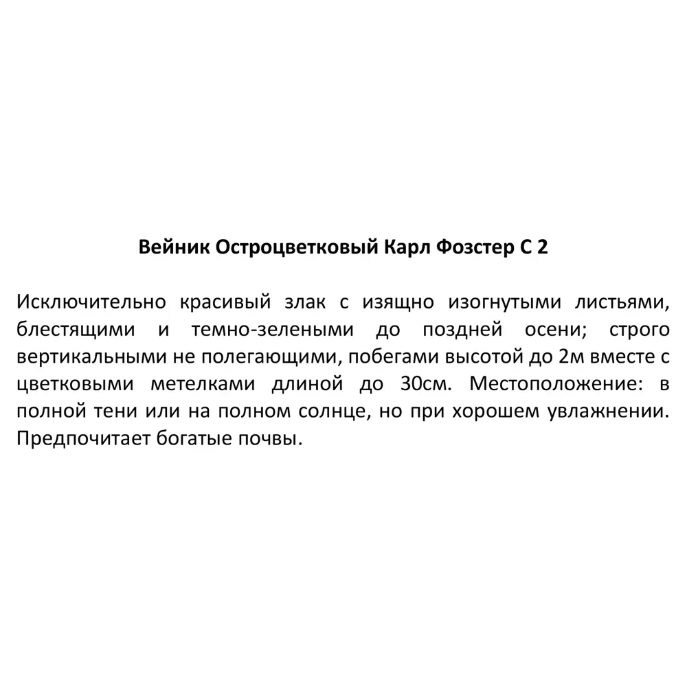 Фото 3 Вейник остроцветковый «Карл Фоэстер» 2 л h20 см Фото 3 Вейник остроцветковый «Карл Фоэстер» 2 л h20 см