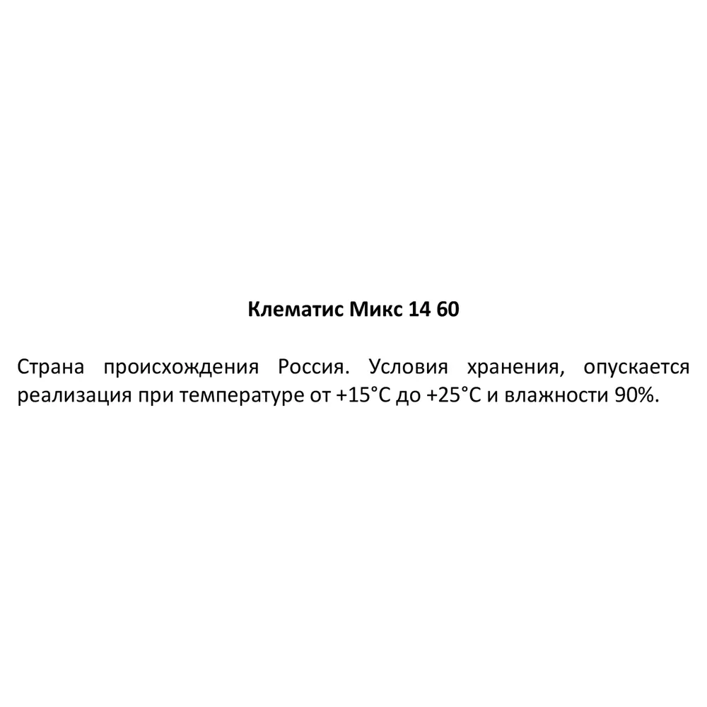 Фото 4 Клематис микс ø14 h60 см Фото 4 Клематис микс ø14 h60 см