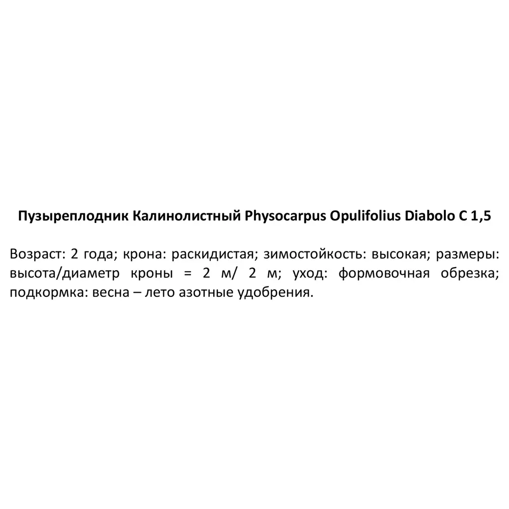Фото 3 Пузыреплодник калинолистный Диабло ø15 h35 см Фото 3 Пузыреплодник калинолистный Диабло ø15 h35 см