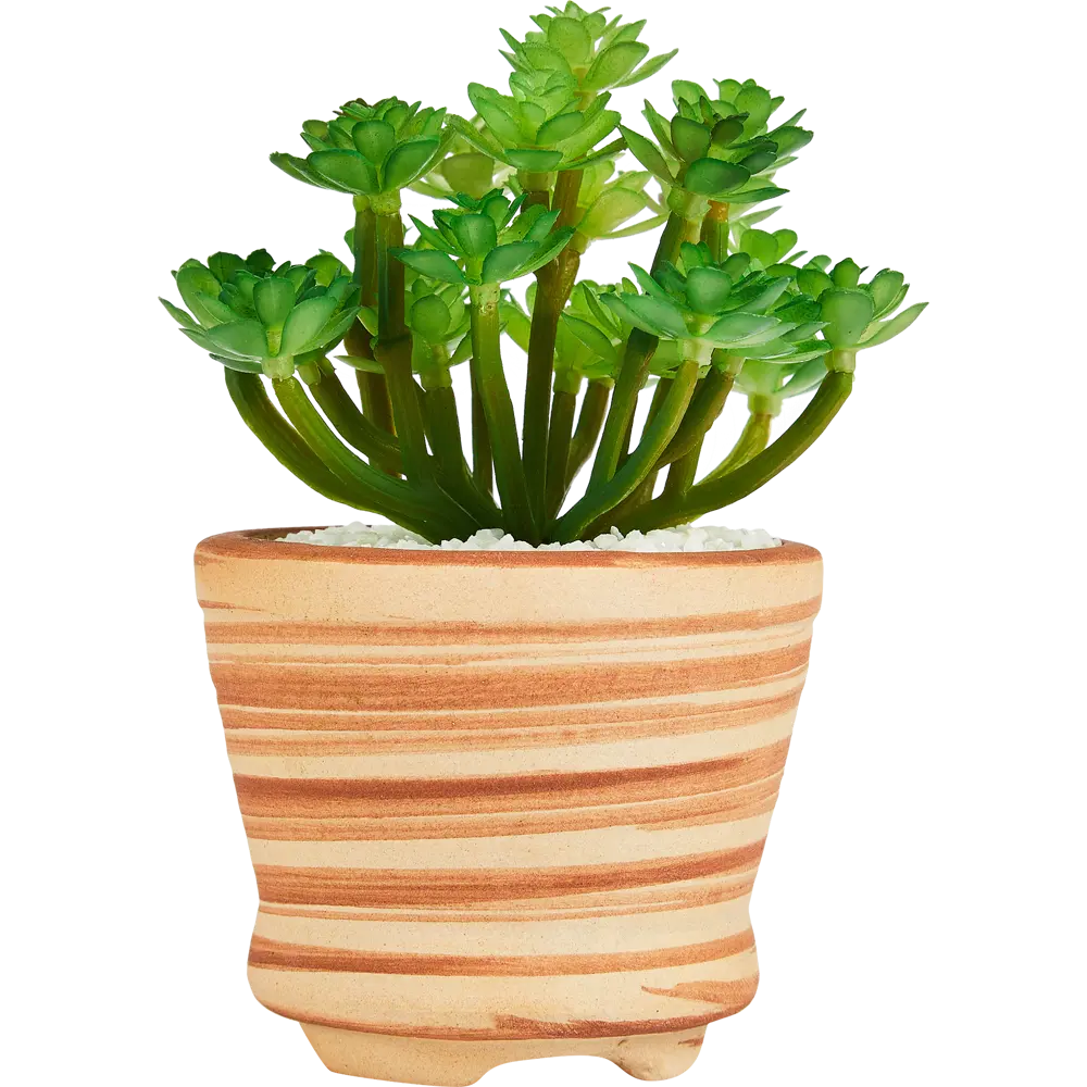 Фото 2 Искусственное растение Stripe 1 7x13 см полиэстер цвет разноцветный Фото 2 Искусственное растение Stripe 1 7x13 см полиэстер цвет разноцветный