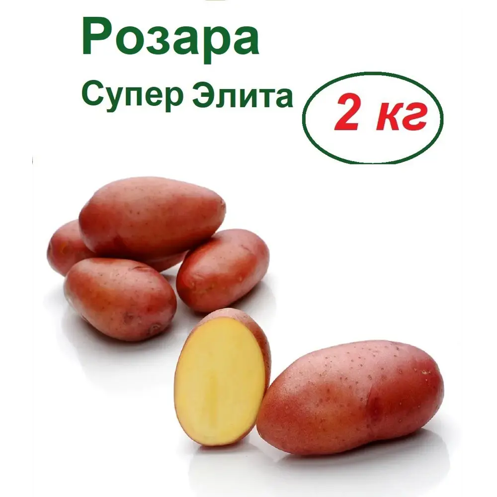Фото Картофель Лето Розара 2 кг в сетке Фото Картофель Лето Розара 2 кг в сетке