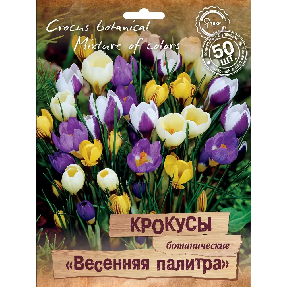 Фото Крокусы ботанические Весенняя палитра микс, 50 шт. Фото Крокусы ботанические Весенняя палитра микс, 50 шт.