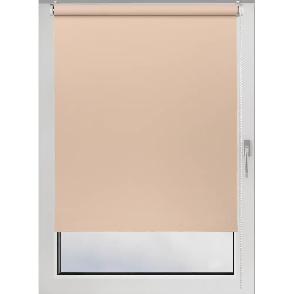 Фото Рулонная штора Prakto Blackout Color 55x160 см какао Фото Рулонная штора Prakto Blackout Color 55x160 см какао