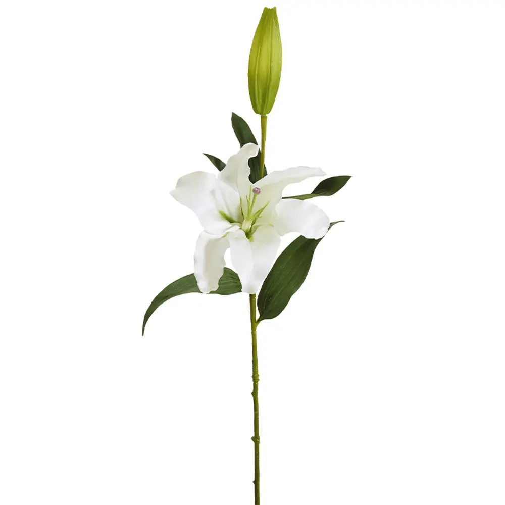 Фото Цветок декоративный Fiebiger Floristik "Лилия" 2 бутона 93 см цвет белый Фото Цветок декоративный Fiebiger Floristik "Лилия" 2 бутона 93 см цвет белый