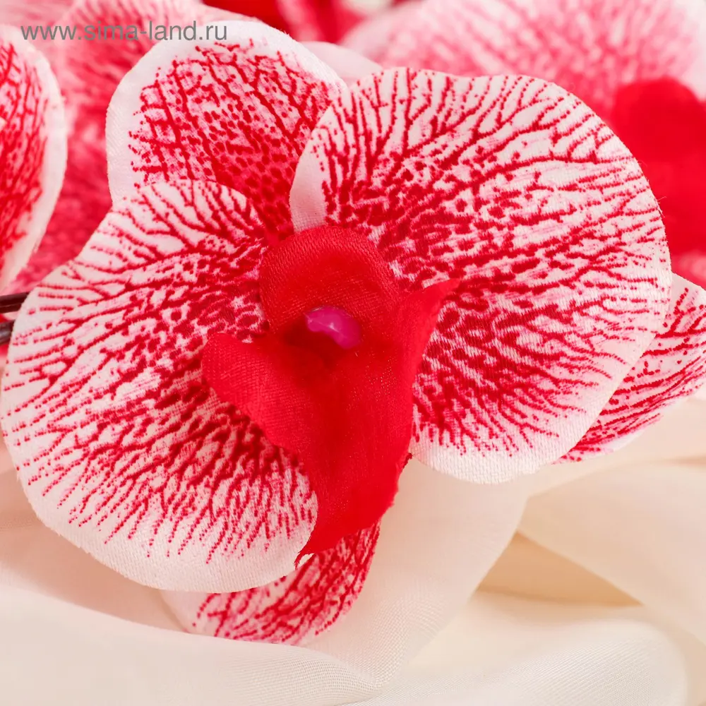 Фото 2 Цветы искусственные Poetry in flowers "Орхидея фаленопсис" 2 Фото 2 Цветы искусственные Poetry in flowers "Орхидея фаленопсис" 2