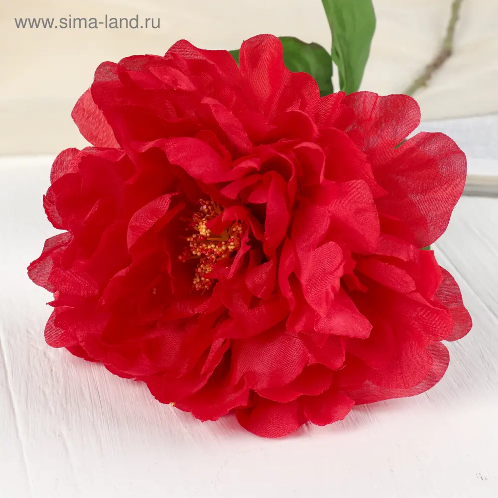 Фото 2 Цветы искусственные Poetry in flowers Пион бархатный Фото 2 Цветы искусственные Poetry in flowers Пион бархатный