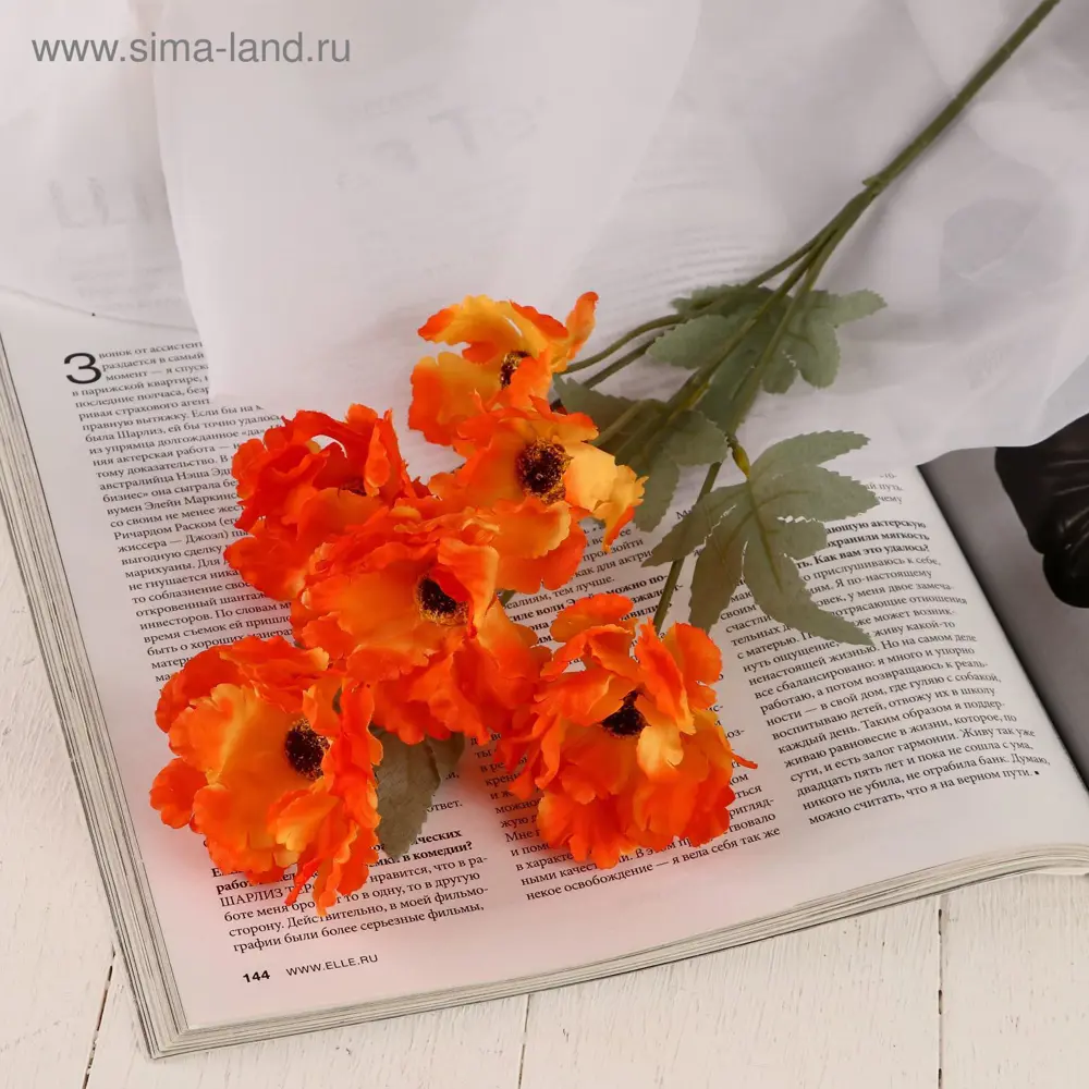 Фото Цветы искусственные Poetry in flowers Космея махровая Фото Цветы искусственные Poetry in flowers Космея махровая
