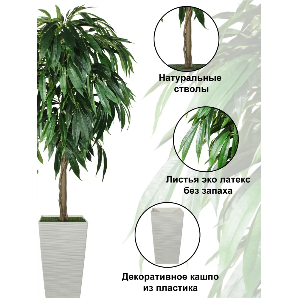 Фото 2 Искусственное дерево Фикус Лонгифолия 150 см в высоком кремовом кашпо 46.5 см