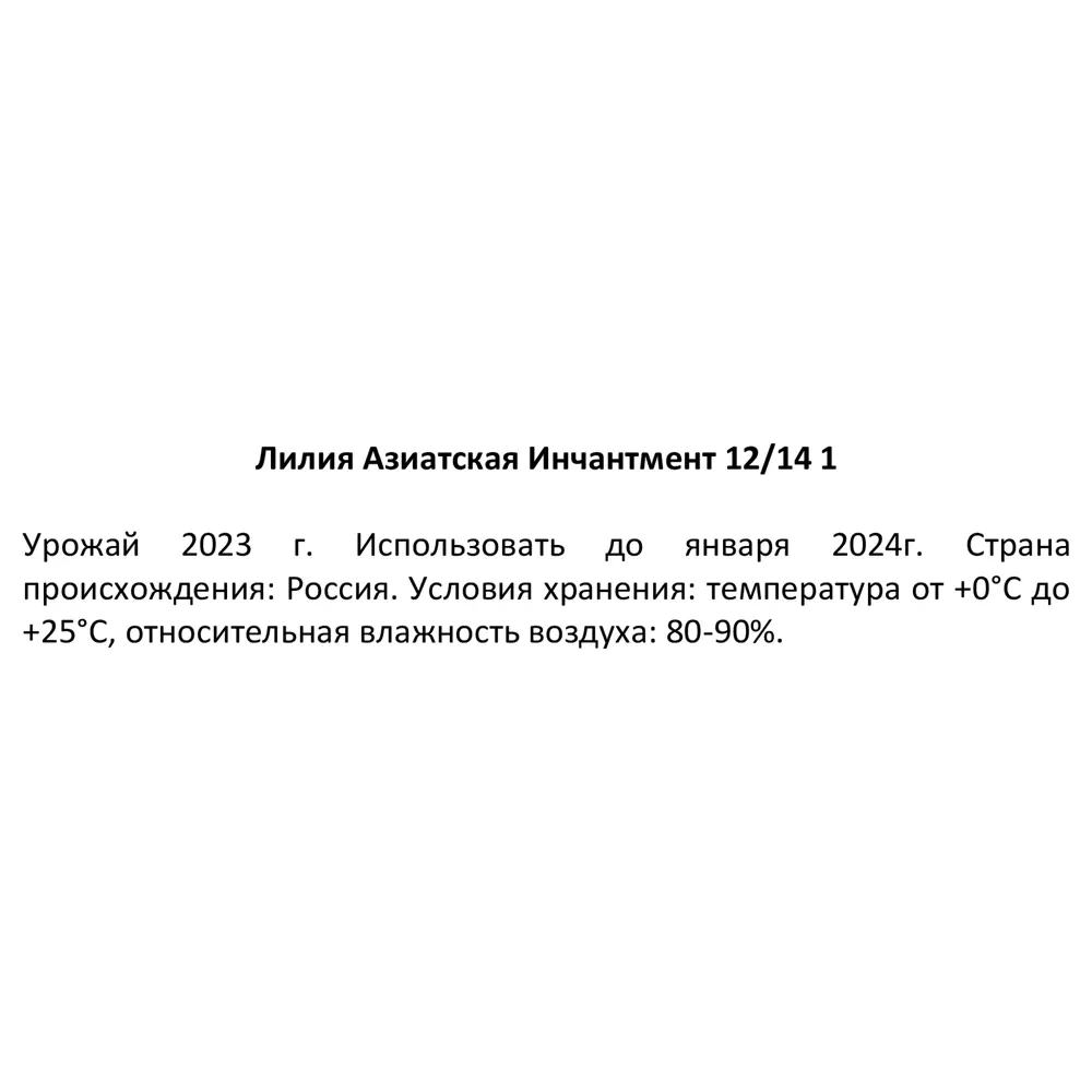 Фото 3 Лилия азиатская Инчантмент Фото 3 Лилия азиатская Инчантмент