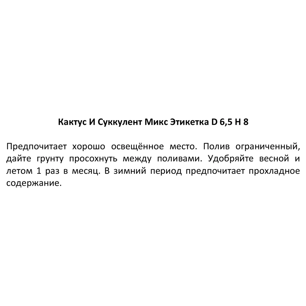 Фото 5 Кактус и суккулент Этикетка микс ø6.5 h8 см Фото 5 Кактус и суккулент Этикетка микс ø6.5 h8 см