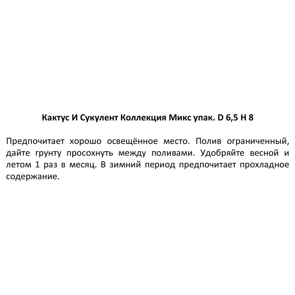 Фото 5 Кактус и суккулент Коллекция микс ø6.5 h8 см Фото 5 Кактус и суккулент Коллекция микс ø6.5 h8 см