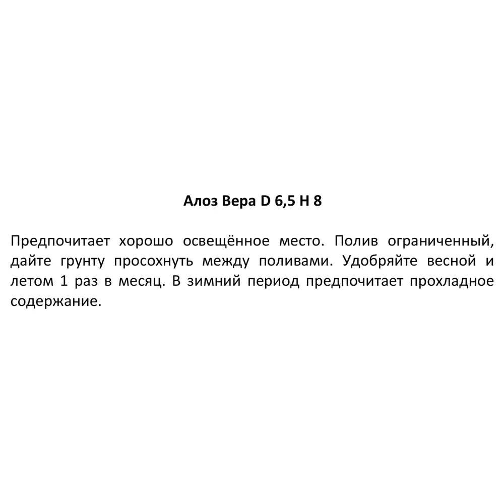 Фото 4 Алоэ вера ø6.5 h8 см