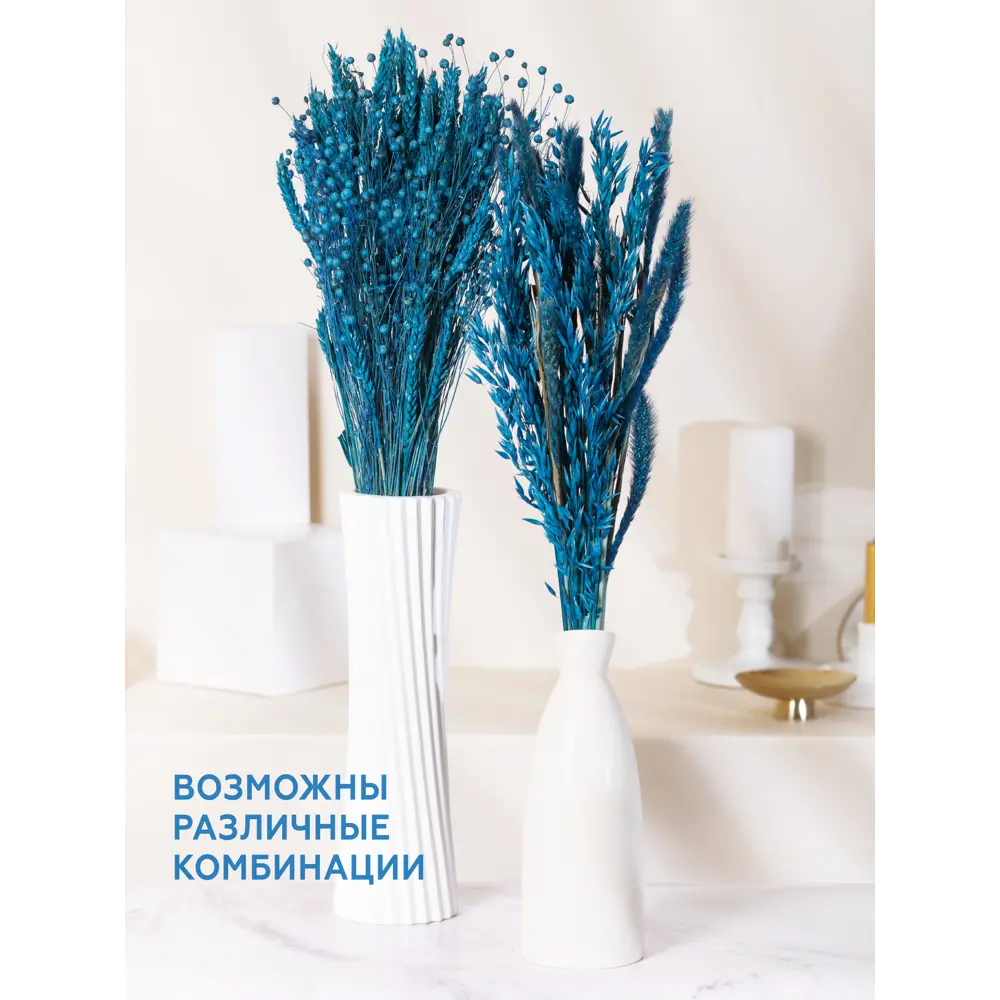 Фото 4 Набор Синий из 4-х культур: могар, овёс, лен, пшеница Фото 4 Набор Синий из 4-х культур: могар, овёс, лен, пшеница