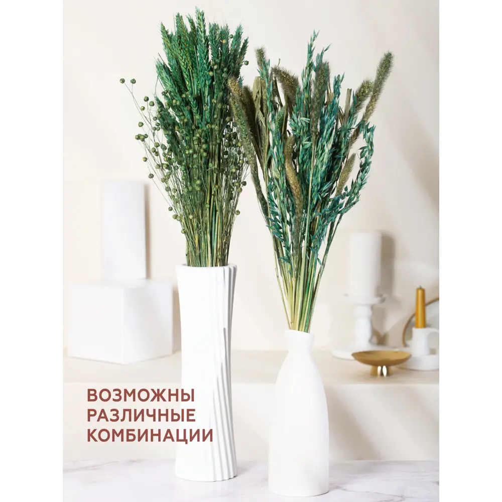 Фото 4 Набор Зеленый из 4-х культур: могар, овёс, лен, пшеница Фото 4 Набор Зеленый из 4-х культур: могар, овёс, лен, пшеница