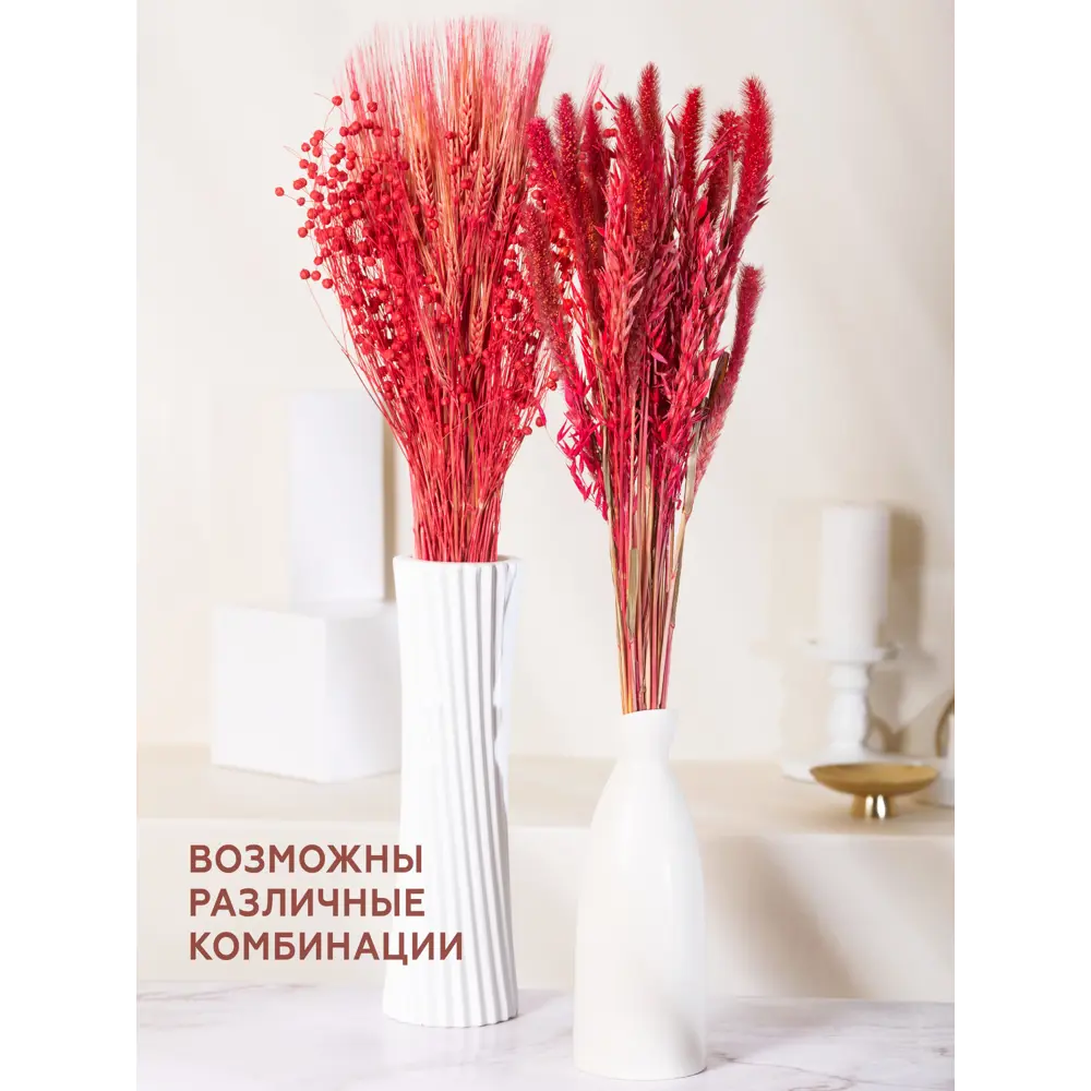 Фото 4 Набор Красный из 4-х культур: могар, овёс, лен, ячмень Фото 4 Набор Красный из 4-х культур: могар, овёс, лен, ячмень