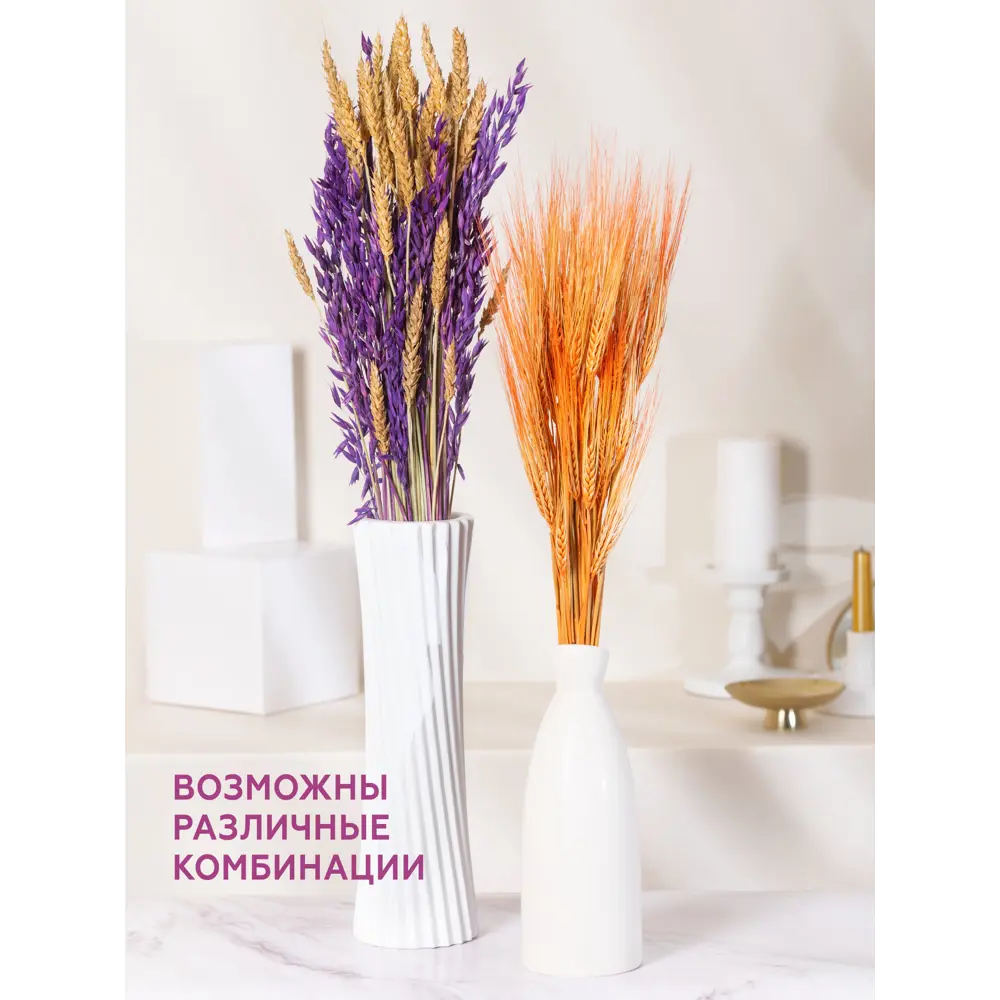 Фото 4 Набор из 3-х культур: овёс фиолетовый, пшеница натуральная, ячмень оранжевый Фото 4 Набор из 3-х культур: овёс фиолетовый, пшеница натуральная, ячмень оранжевый