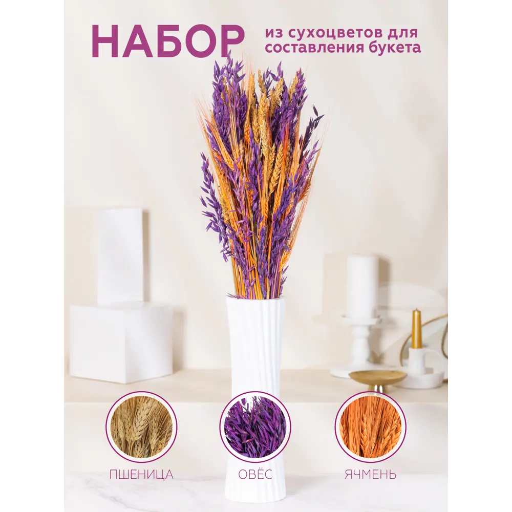 Фото 2 Набор из 3-х культур: овёс фиолетовый, пшеница натуральная, ячмень оранжевый Фото 2 Набор из 3-х культур: овёс фиолетовый, пшеница натуральная, ячмень оранжевый
