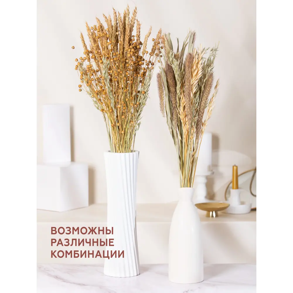 Фото 4 Набор натуральный из 4-х культур: могар, овёс, лен, пшеница