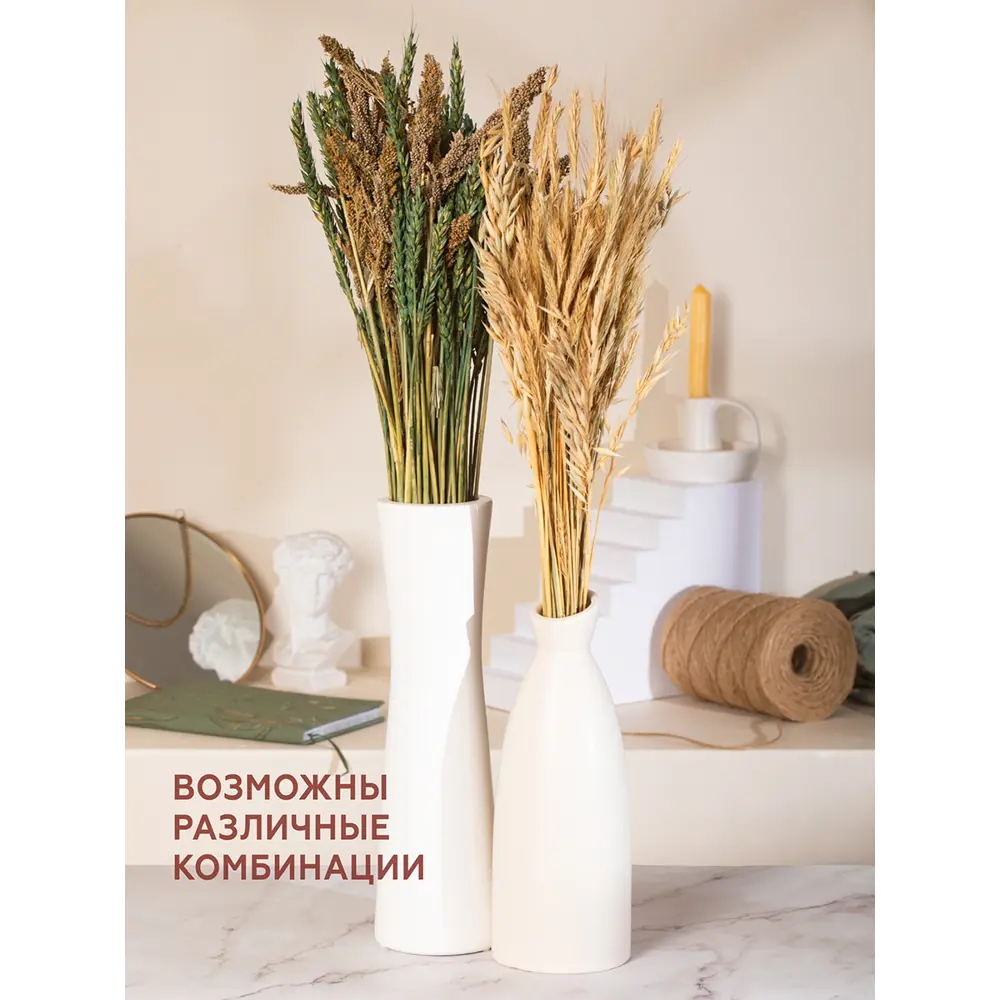 Фото 4 Набор натуральный из 4 культур: пшеница зеленая, овес, рожь, пайза Фото 4 Набор натуральный из 4 культур: пшеница зеленая, овес, рожь, пайза