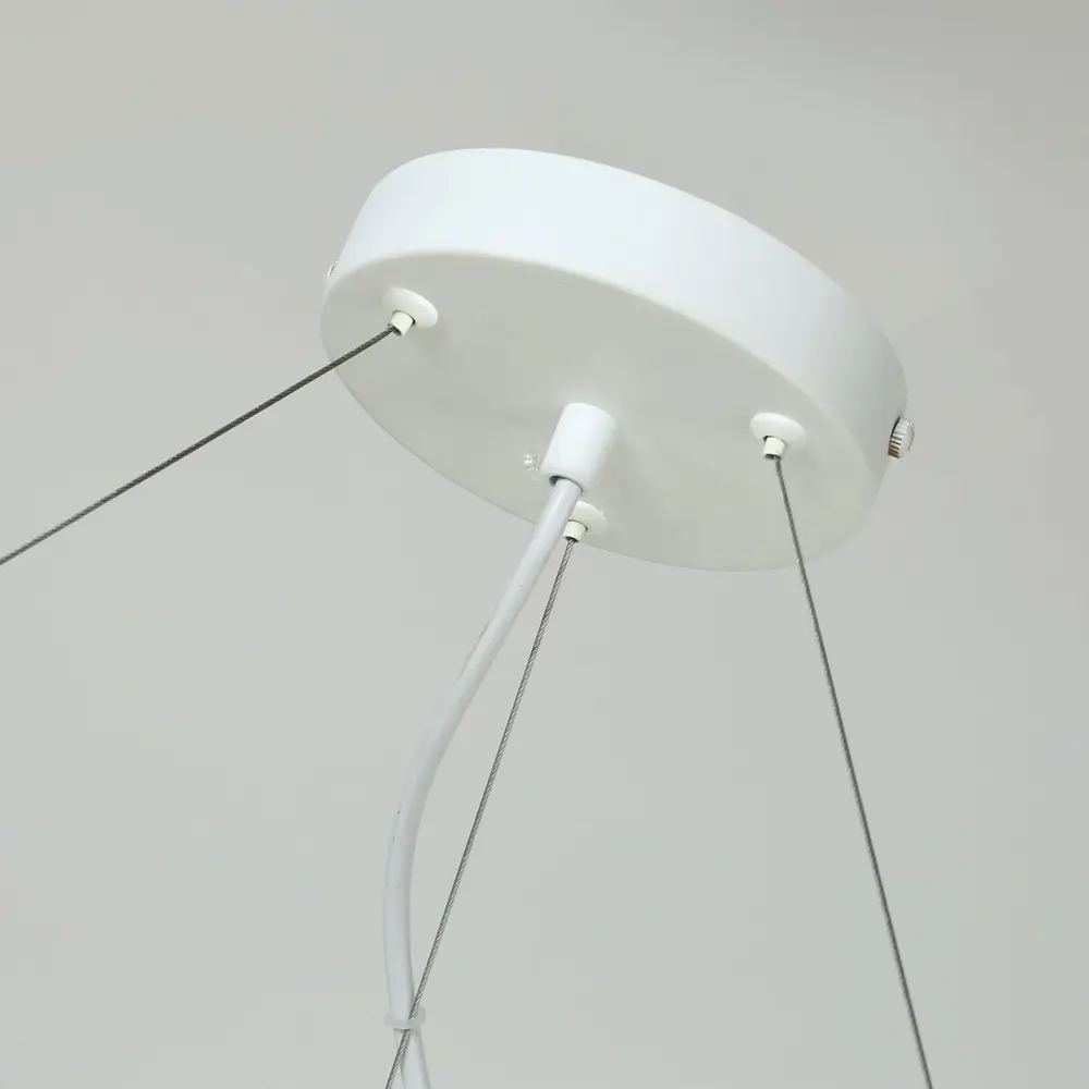 Фото 4 Люстра подвесная Favourite Vogel 1095-6P 6 ламп 12 м² цвет белый Фото 4 Люстра подвесная Favourite Vogel 1095-6P 6 ламп 12 м² цвет белый