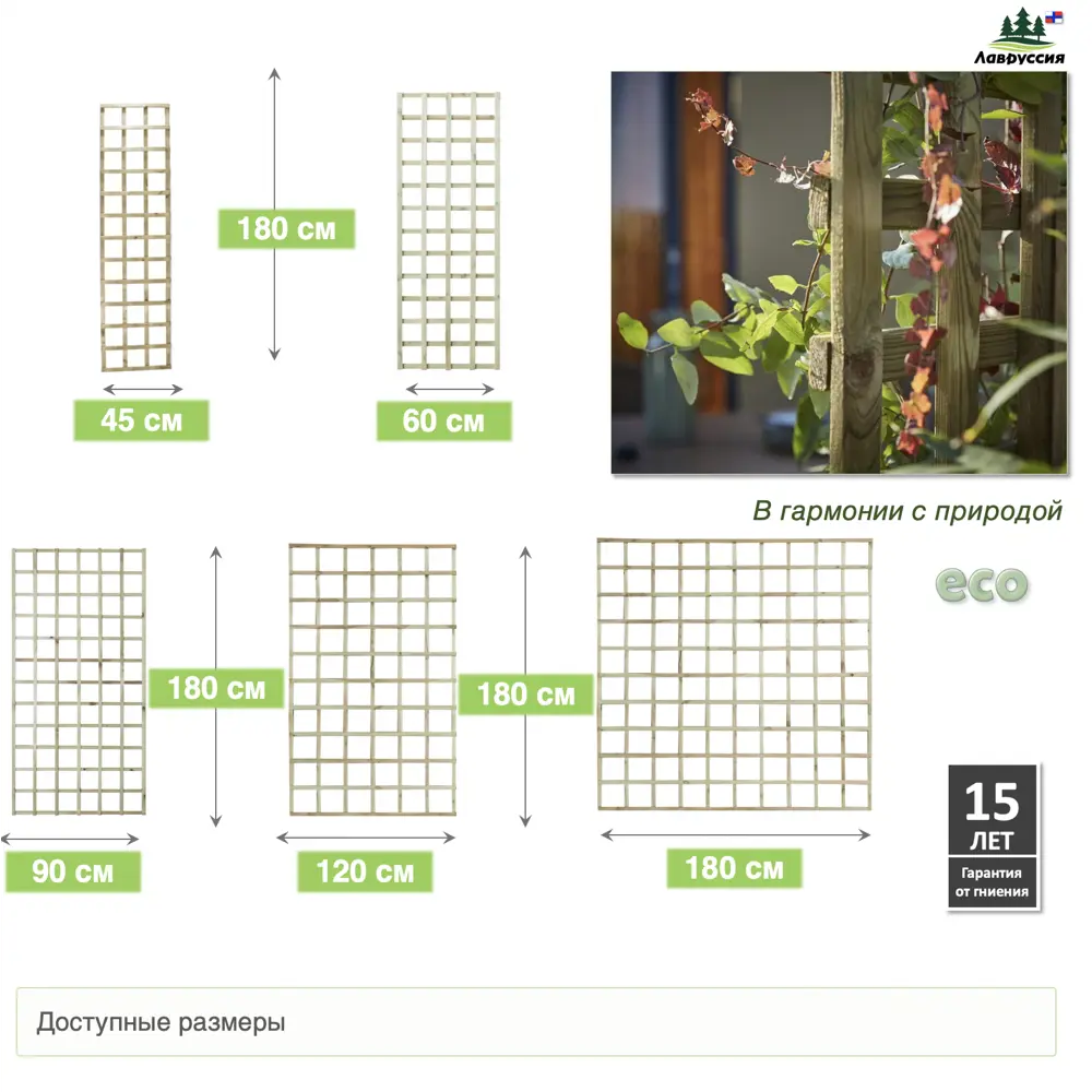 Фото 3 Опора Lavrussia для вьющихся цветов и растений 60x180см 3 шт Фото 3 Опора Lavrussia для вьющихся цветов и растений 60x180см 3 шт