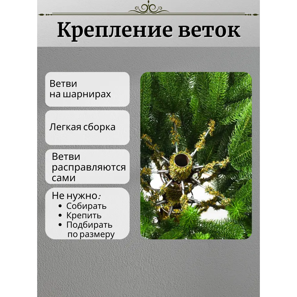 Фото 4 Ель новогодняя искусственная Max christmas КЛНЛ 18 Калининградская 180 см цвет зеленый Фото 4 Ель новогодняя искусственная Max christmas КЛНЛ 18 Калининградская 180 см цвет зеленый