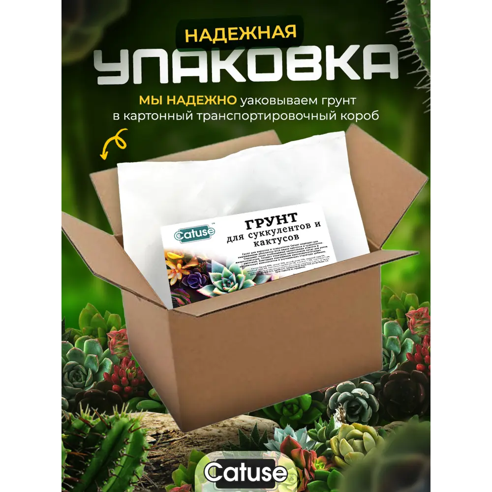 Фото 9 Грунт для кактусов и суккулентов Catuse 3 кг 2-10мм Фото 9 Грунт для кактусов и суккулентов Catuse 3 кг 2-10мм