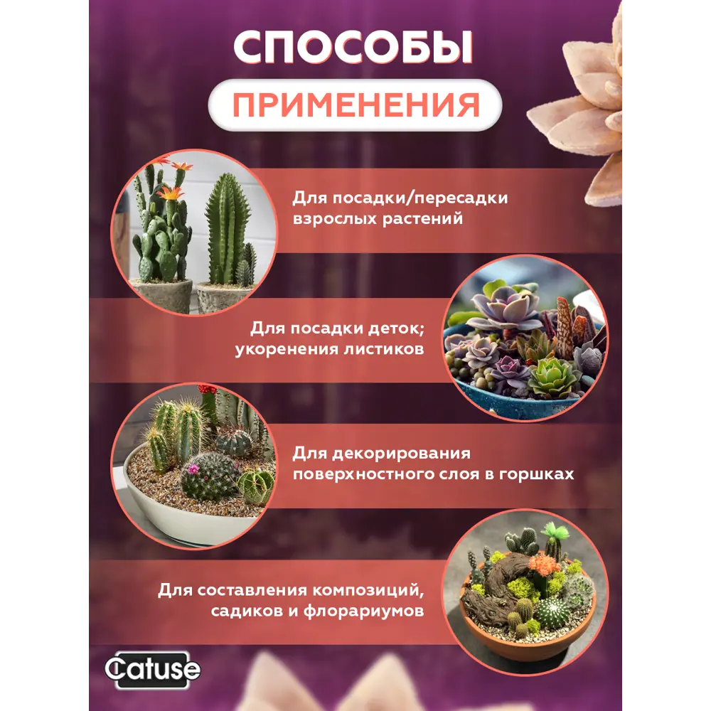 Фото 7 Грунт для кактусов и суккулентов Catuse 3 кг 1-5мм Фото 7 Грунт для кактусов и суккулентов Catuse 3 кг 1-5мм