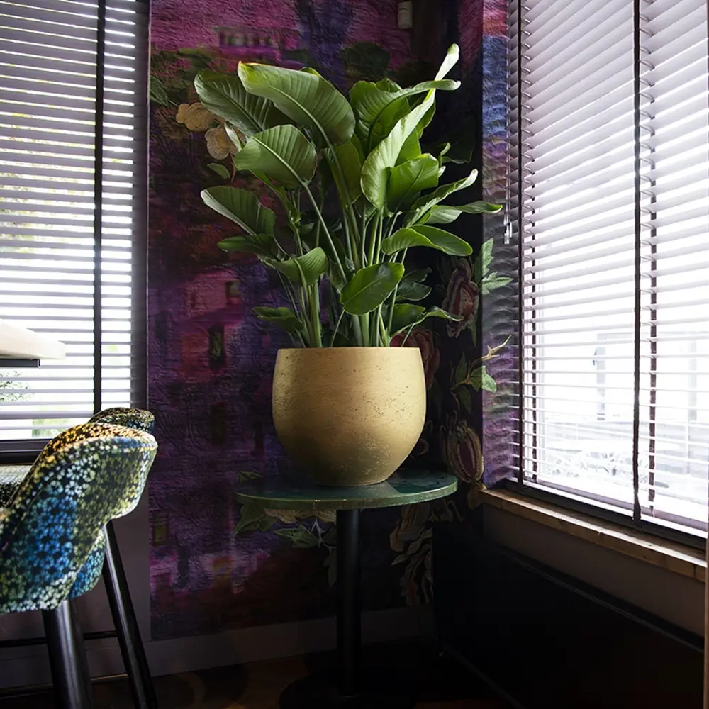 Фото 6 Горшок цветочный Мини орб Idealist lite 25 см 21 см 66 л искусственный камень жёлтый/золотой без автополива Фото 6 Горшок цветочный Мини орб Idealist lite 25 см 21 см 66 л искусственный камень жёлтый/золотой без автополива