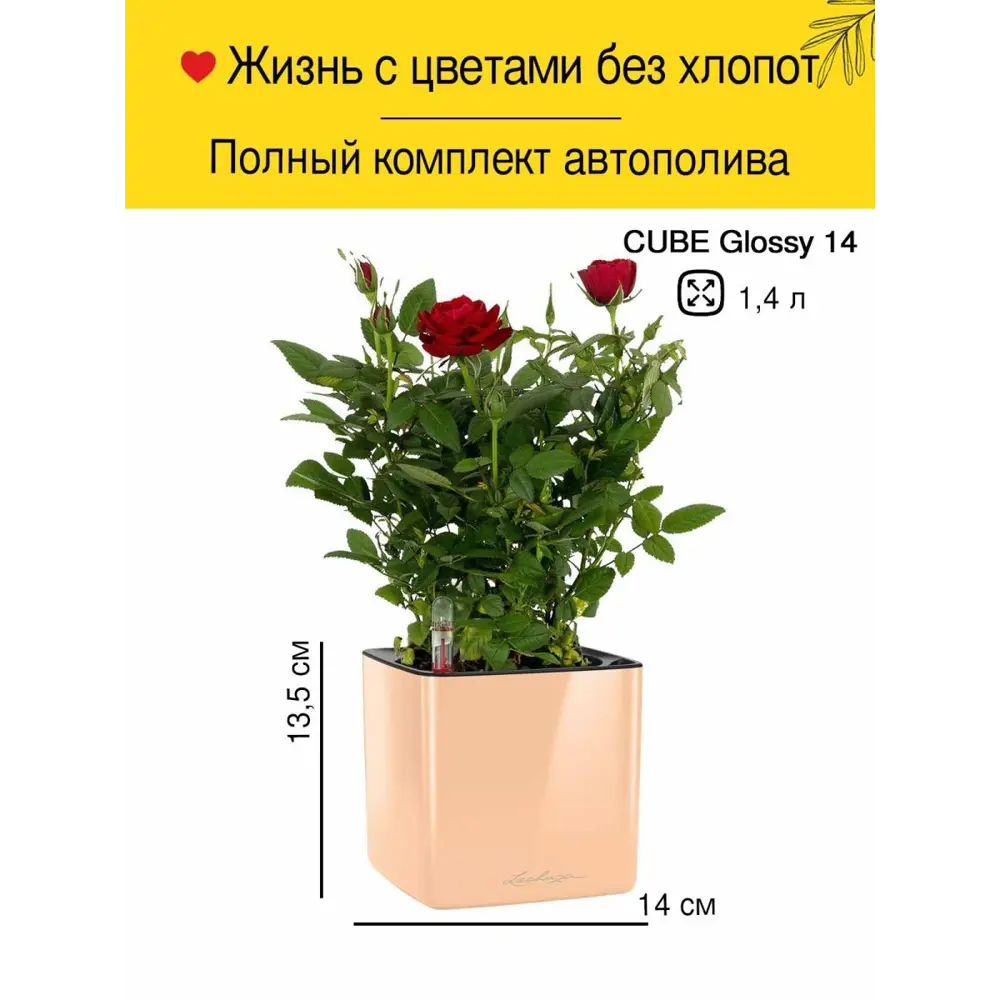 Фото Кашпо Glossy Lechuza 14 см 13 см 1.4 л 100% пластик бежевый Фото Кашпо Glossy Lechuza 14 см 13 см 1.4 л 100% пластик бежевый