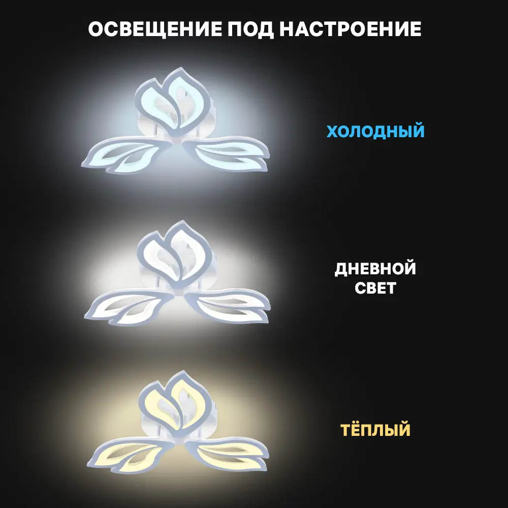Фото 5 Люстра потолочная Ritter Legante с пультом управления 22 м² регулируемый белый свет цвет белый Фото 5 Люстра потолочная Ritter Legante с пультом управления 22 м² регулируемый белый свет цвет белый