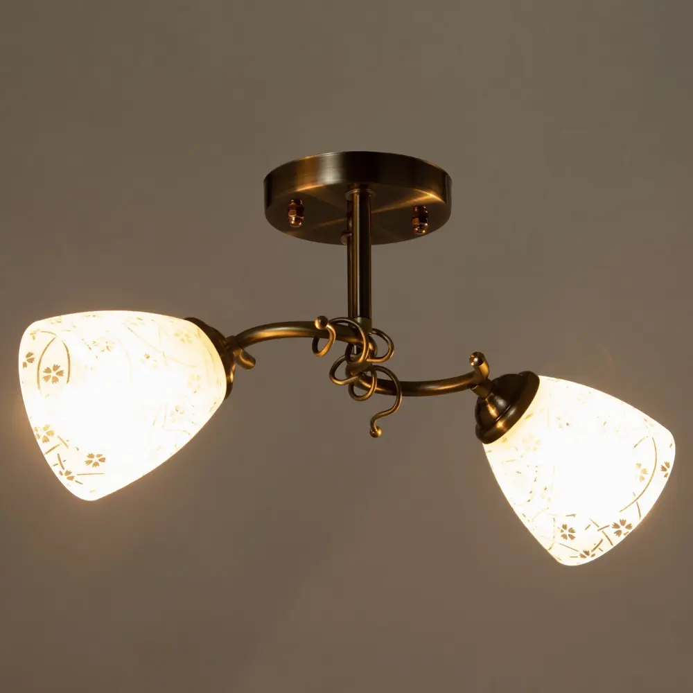 Фото 3 Светильник потолочный BAYERLUX 9032417 2 лампы 4 м² цвет бронза Фото 3 Светильник потолочный BAYERLUX 9032417 2 лампы 4 м² цвет бронза