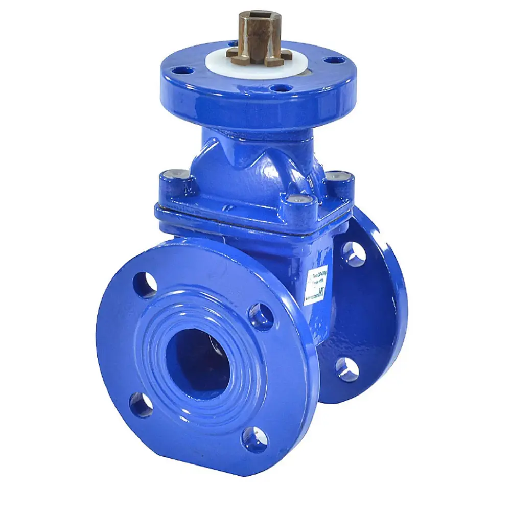 Фото Задвижка 30ч939р обрезиненный клин Ø50 Ру16 Фото Задвижка 30ч939р обрезиненный клин Ø50 Ру16