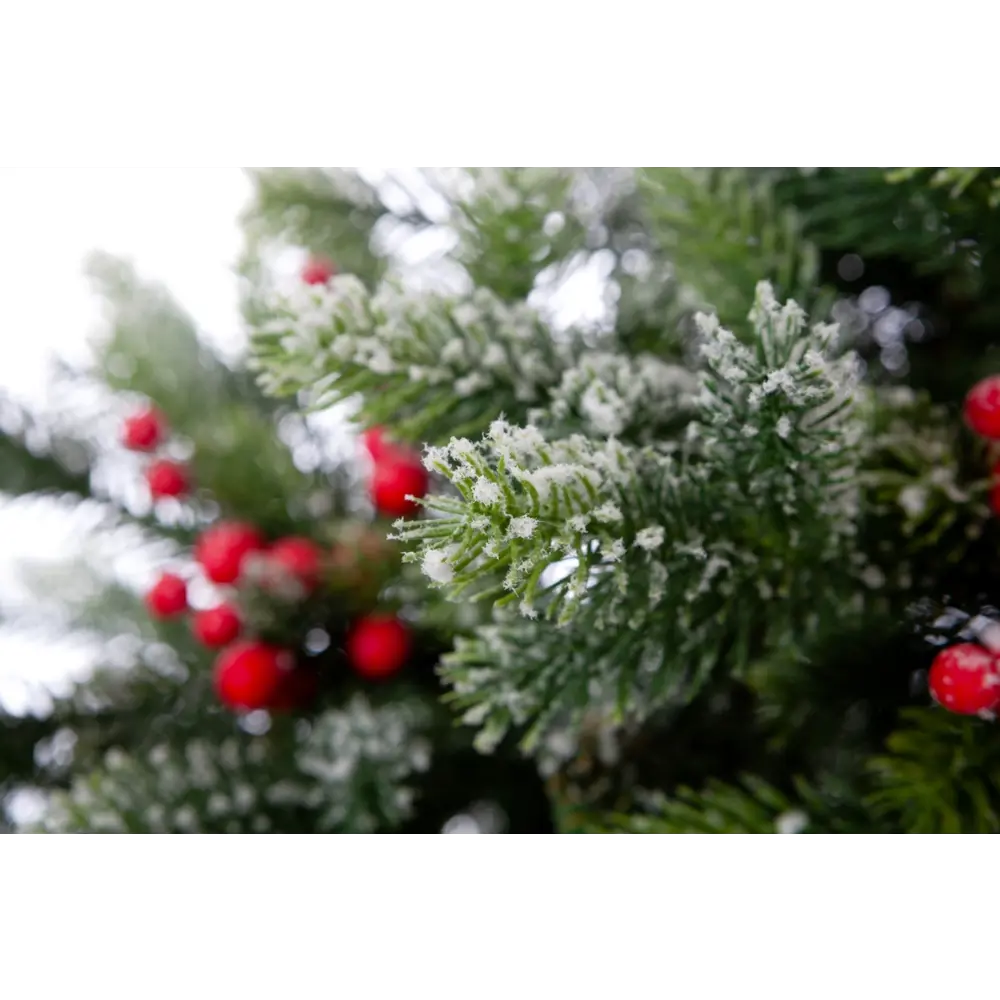 Фото 5 Искусственная Ель Crystal Trees Лаки заснеженная с ягодами 230 см. Фото 5 Искусственная Ель Crystal Trees Лаки заснеженная с ягодами 230 см.