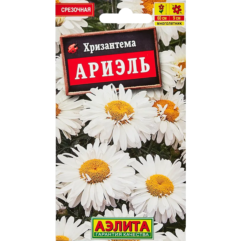 Фото Семена цветов Аэлита хризантема Ариэль Фото Семена цветов Аэлита хризантема Ариэль