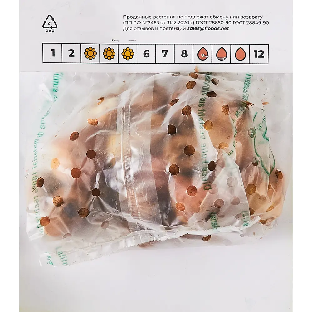 Фото 2 Тюльпан Стреза Крокусы Фиолетовые 25 штук