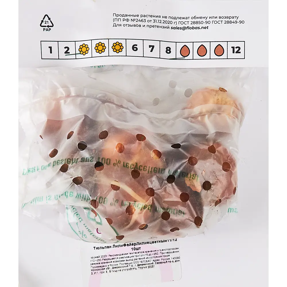 Фото 2 Тюльпан лилиецветный Лилифайер луковицы 11/12, 10 шт. Фото 2 Тюльпан лилиецветный Лилифайер луковицы 11/12, 10 шт.