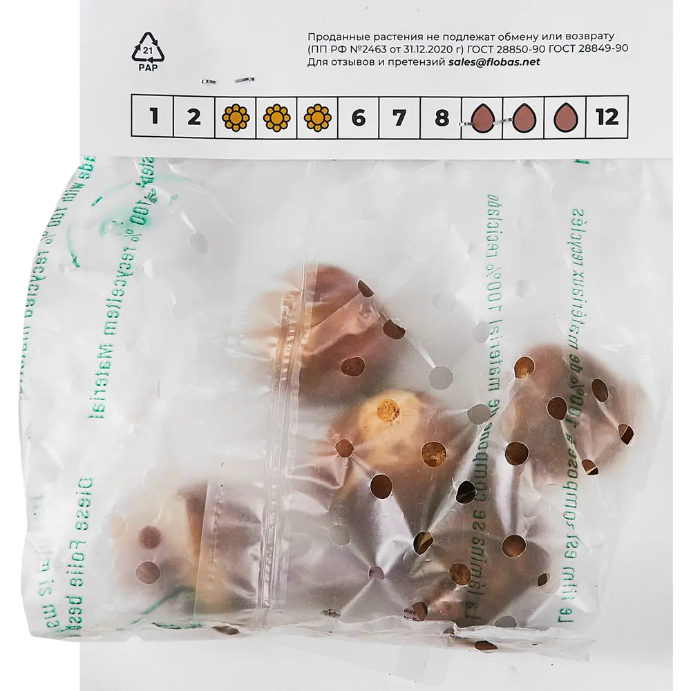 Фото 2 Тюльпан бахромчатый Экзотик Сан луковицы 10/11, 5 шт.