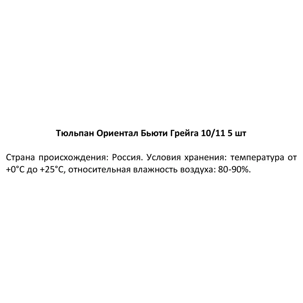 Фото 4 Тюльпан Ориентал Бьюти Грейга луковица 10/11, 5шт Фото 4 Тюльпан Ориентал Бьюти Грейга луковица 10/11, 5шт